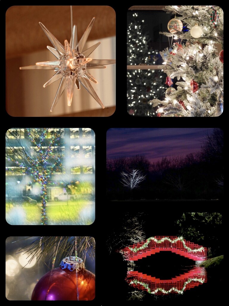 assorted lights by amyk