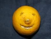18th Jan 2011 - Happy Lemon IMG_3089