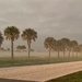 Morning Fog by wilkinscd