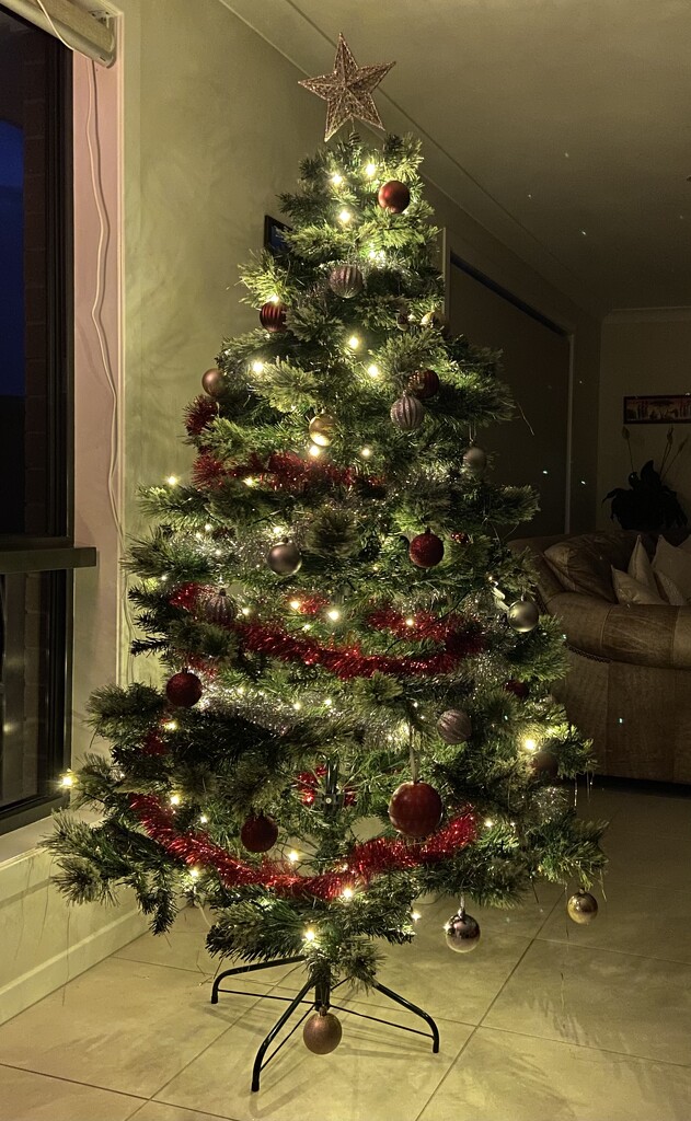 Christmas Tree by sarahabrahamse