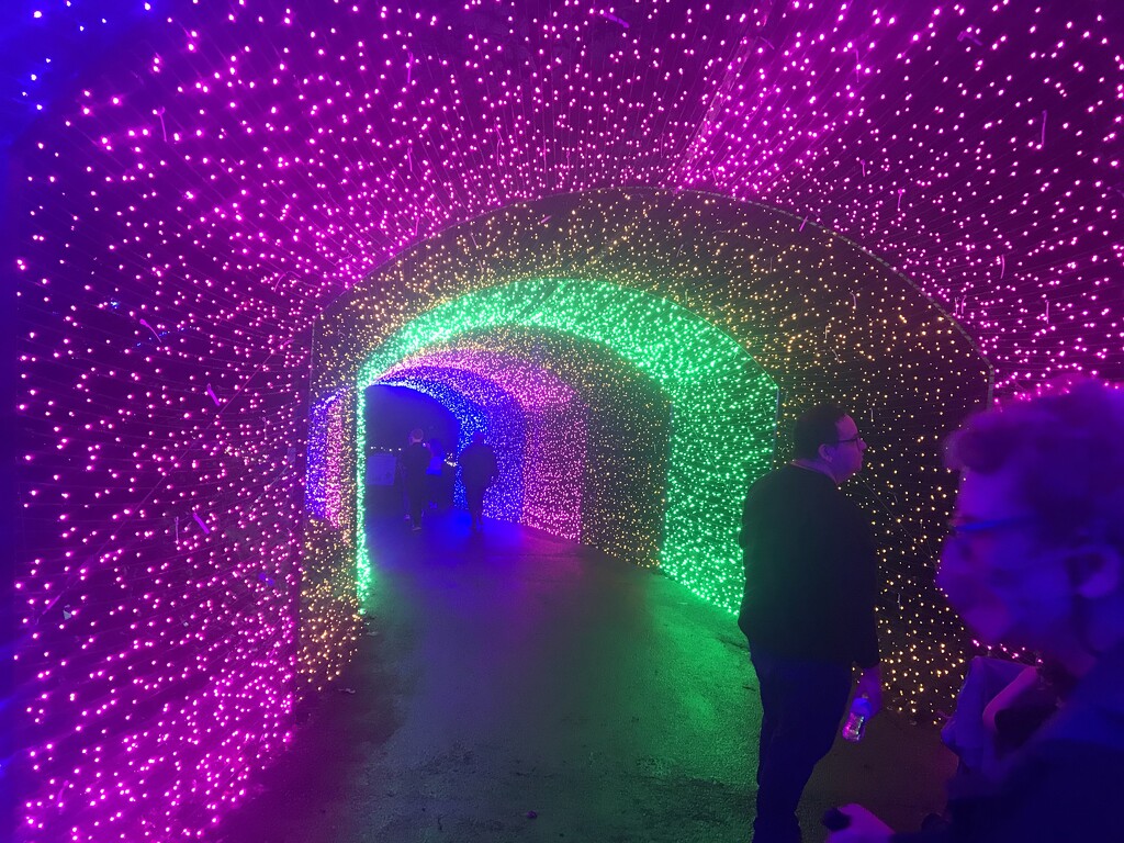 Magic Tunnel  by gratitudeyear