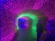 30th Dec 2021 - Magic Tunnel 