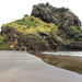 Lion Rock - Piha Beach by terryliv