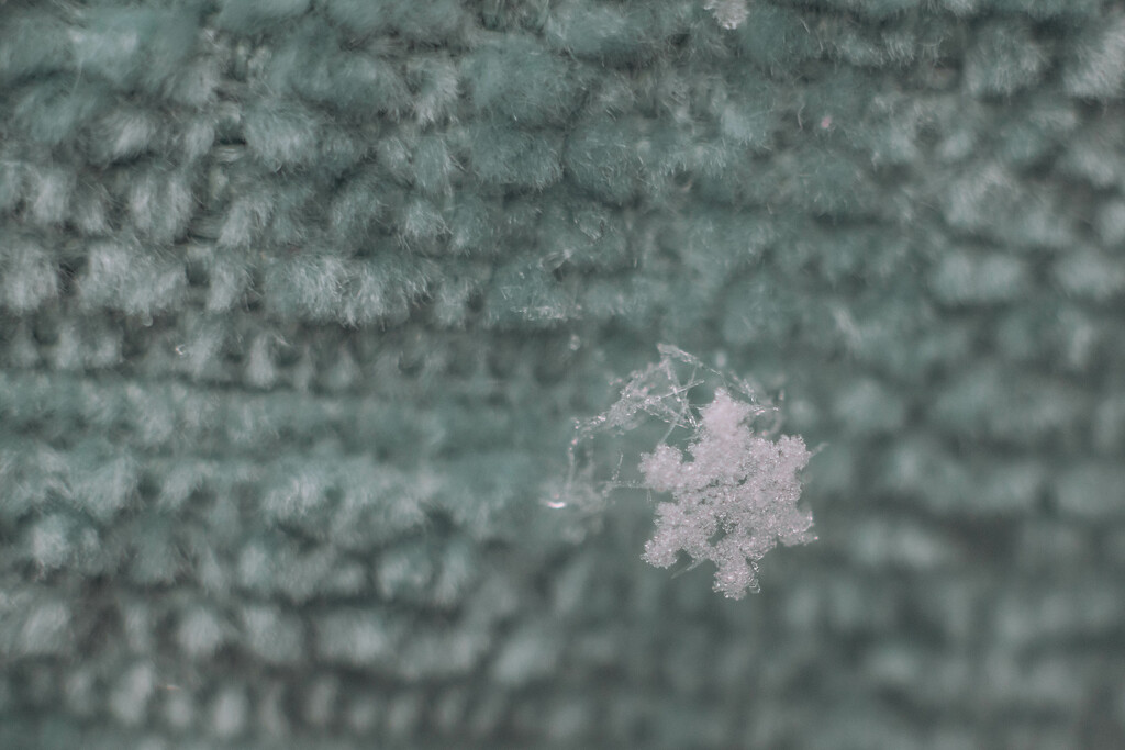 snowflake by mistyhammond
