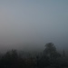 Fog by monicac