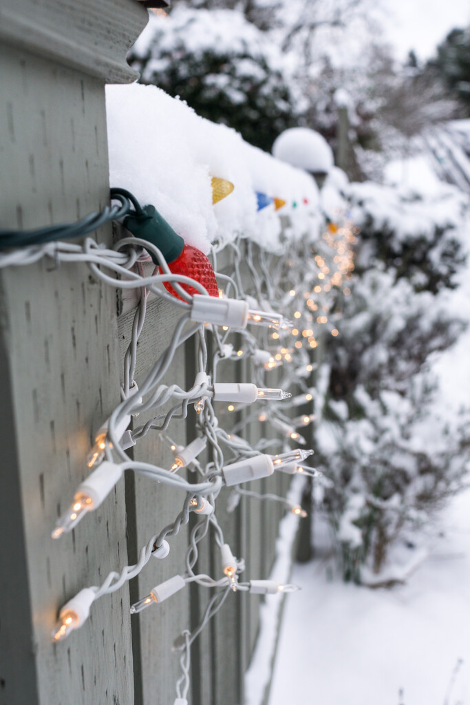 Christmas lights in snow by cristinaledesma33