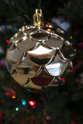 29th Dec 2021 - Scaly Ornament