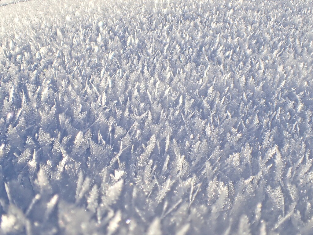 Frost on the Snow by mitchell304