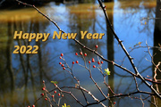 31st Dec 2021 - Happy New Year