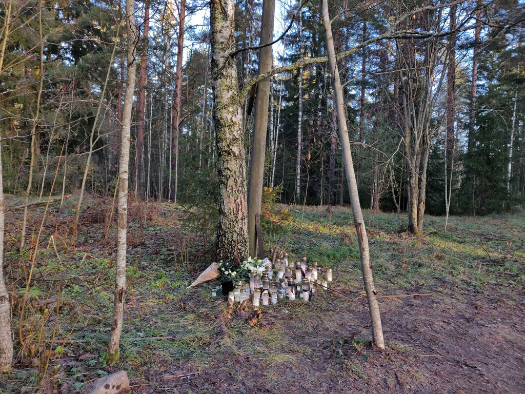 Memorial in the woods by annelis