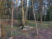 26th Nov 2021 - Memorial in the woods