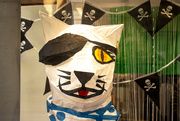 1st Jan 2022 - Pirate cat
