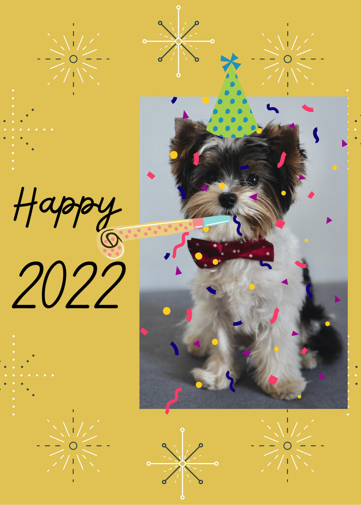 Happy 2022! by monicac