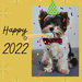 Happy 2022! by monicac