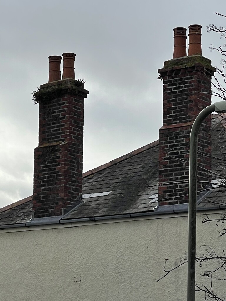 Why would these chimney stacks on private houses so high? by bill_gk