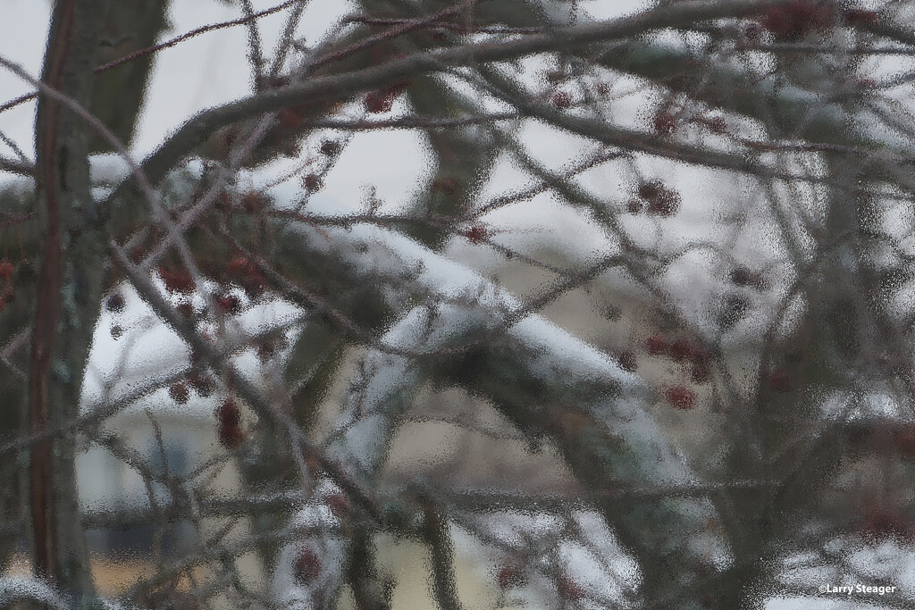 Frosted window by larrysphotos