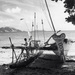 Sailing Canoes, New Guinea 1986 by ankers70