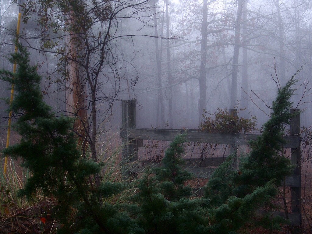 One fine foggy morning... by marlboromaam