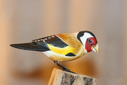 27th Dec 2021 - Hand Carved European Goldfinch