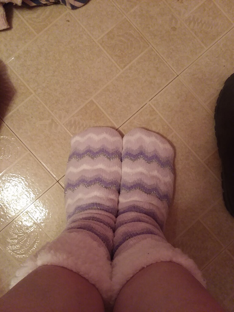 Coziness in Socks by marypaulinemahaydik