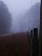 3rd Jan 2022 - One fine foggy morning 2...