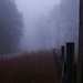 One fine foggy morning 2... by marlboromaam