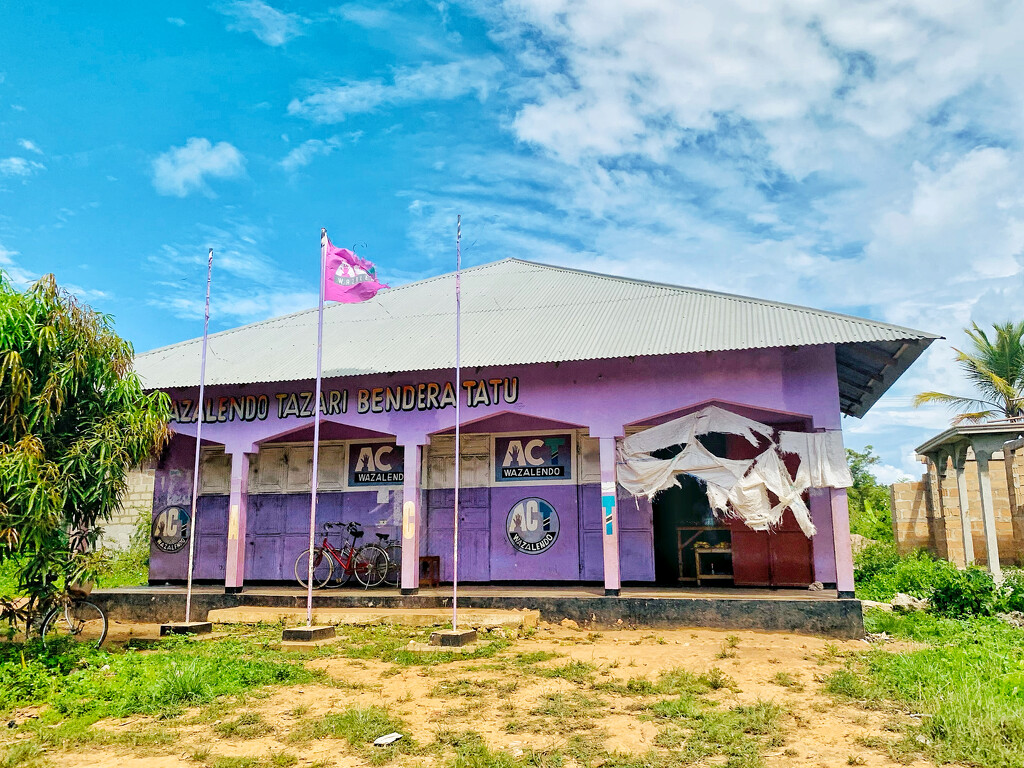 Purple house.  by cocobella