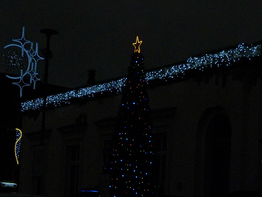 Christmas lights by 365jgh