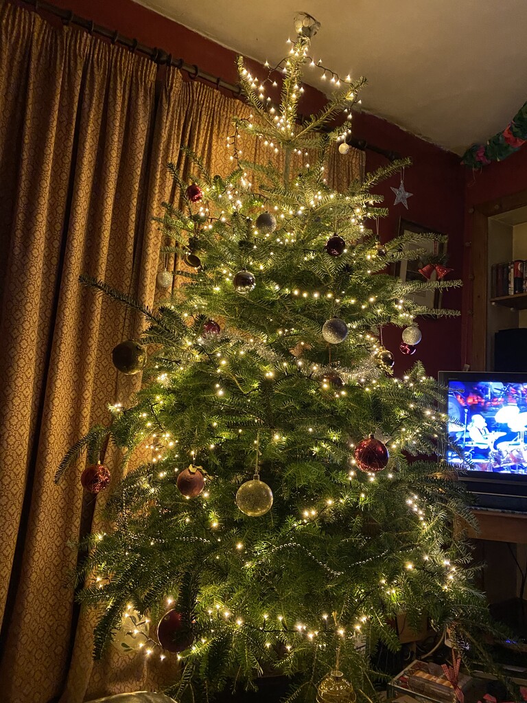 Christmas Tree by mosiesinclair