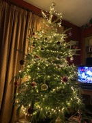 2nd Jan 2022 - Christmas Tree