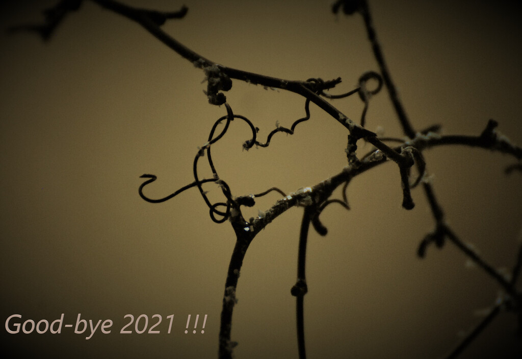 Day 365: Good-bye 2021 !  by jeanniec57