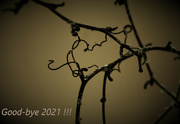 1st Jan 2022 - Day 365: Good-bye 2021 ! 