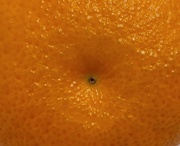 22nd Dec 2021 - Orange you glad this is an orange? 🍊