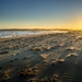 Beach sunset by pusspup
