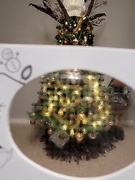 26th Dec 2021 - The view through gingerbread glasses