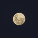 Full Moon by dkbarnett