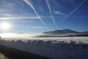1st Jan 2022 - Snow, sun, and fog