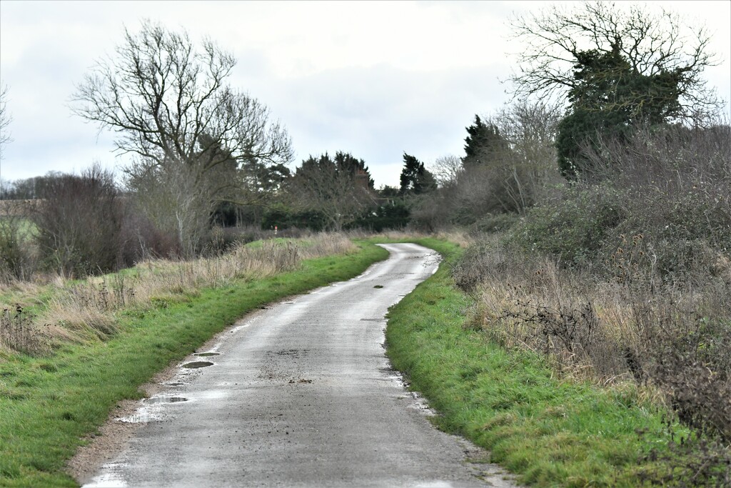 Wood Lane by rosiekind