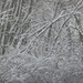 Snow SOC by linnypinny