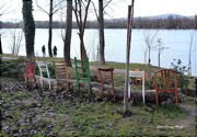 31st Dec 2021 - Resting place on the bank of the Danube