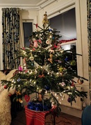 3rd Jan 2022 - Christmas tree