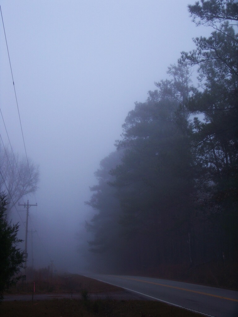 One fine foggy morning 3... by marlboromaam