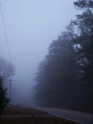 4th Jan 2022 - One fine foggy morning 3...