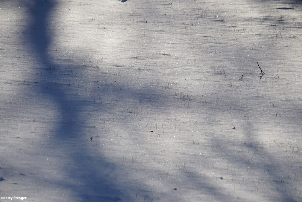 Shadow on snow by larrysphotos