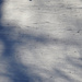 Shadow on snow by larrysphotos
