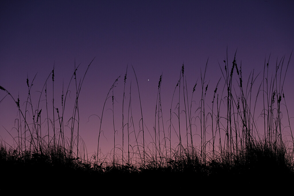 Dunes after sunset by vera365