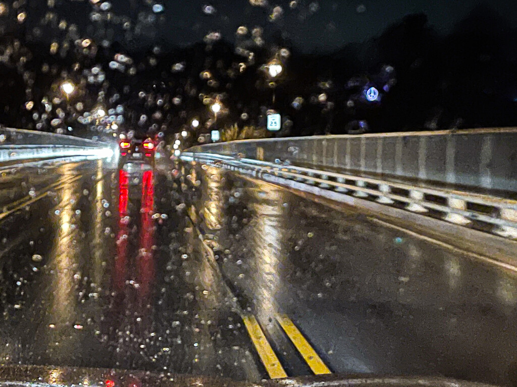 Peace on a Rainy Crossing of Chain Bridge  by jbritt
