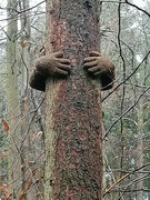 4th Jan 2022 - Be a Tree Hugger