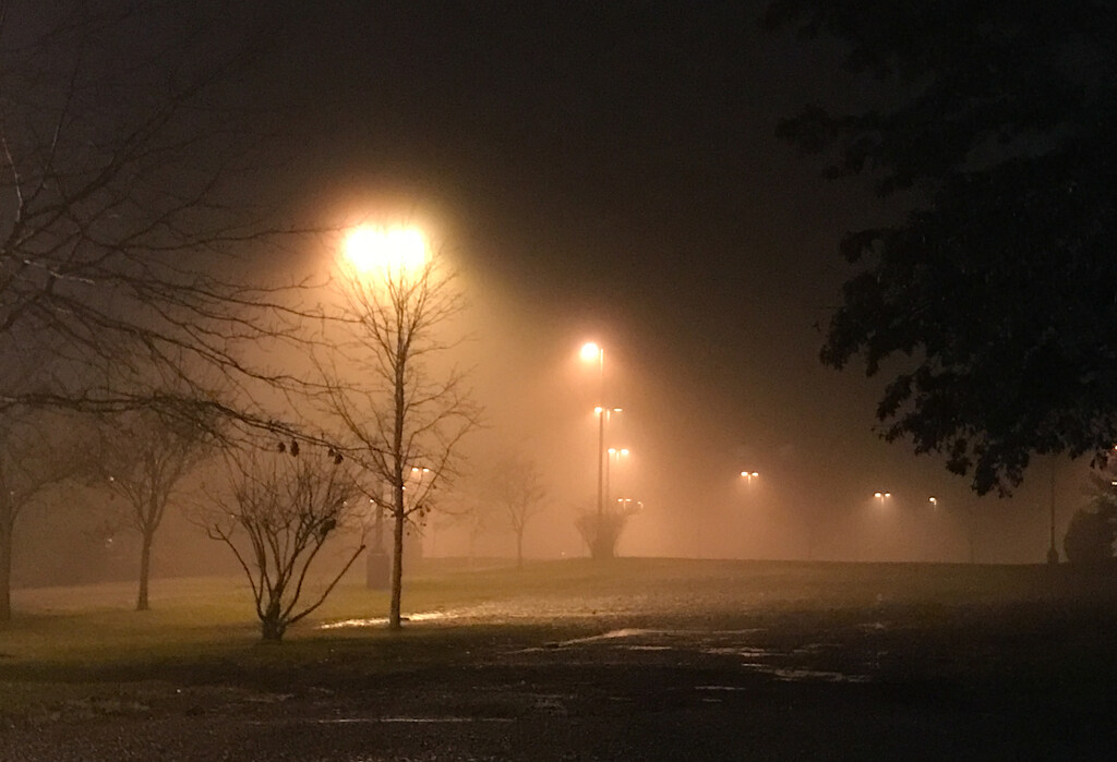 Foggy evening by mittens