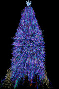 22nd Dec 2021 - Millennium Park Christmas Tree -- Zoomed